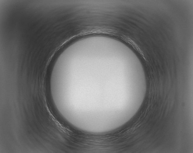 X0000084560444200702231006