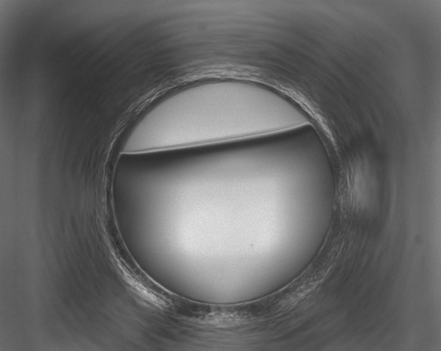 X0000084560445200702231006