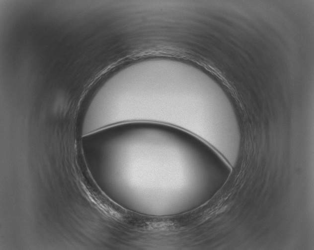 X0000084560446200702231006