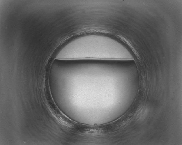 X0000084560447200702231006