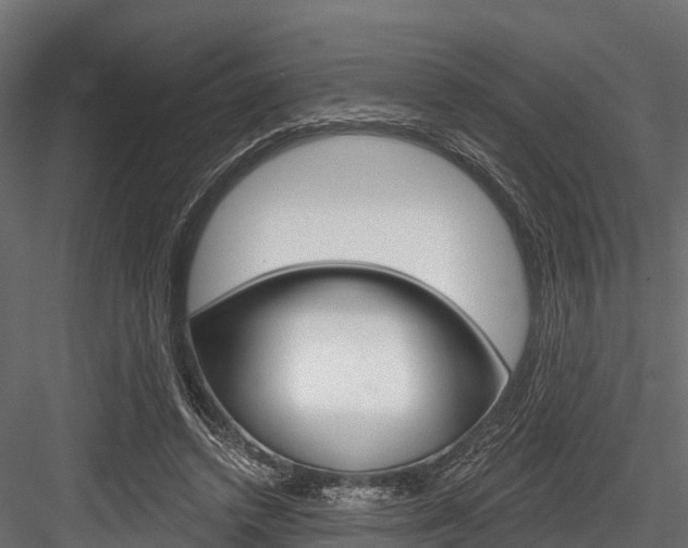 X0000084560448200702231006