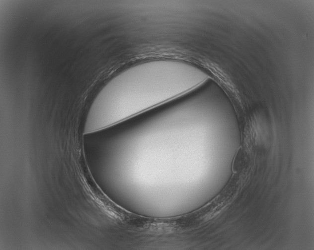 X0000084560449200702231006