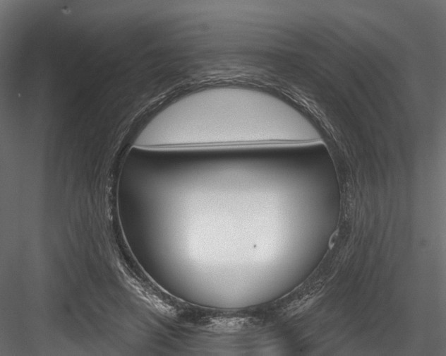 X0000084560450200702231006