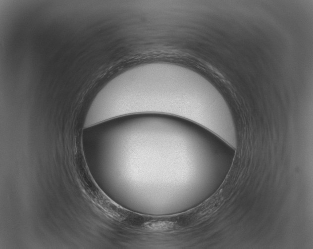 X0000084560452200702231006