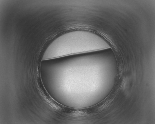 X0000084560453200702231006