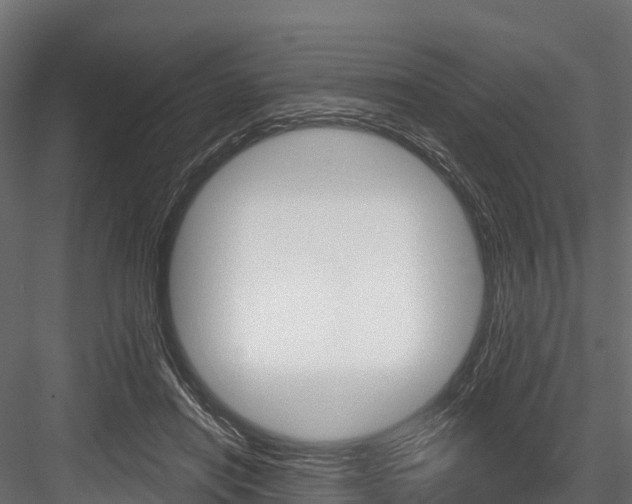 X0000084560454200702231006