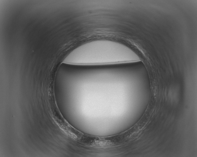 X0000084560455200702231006