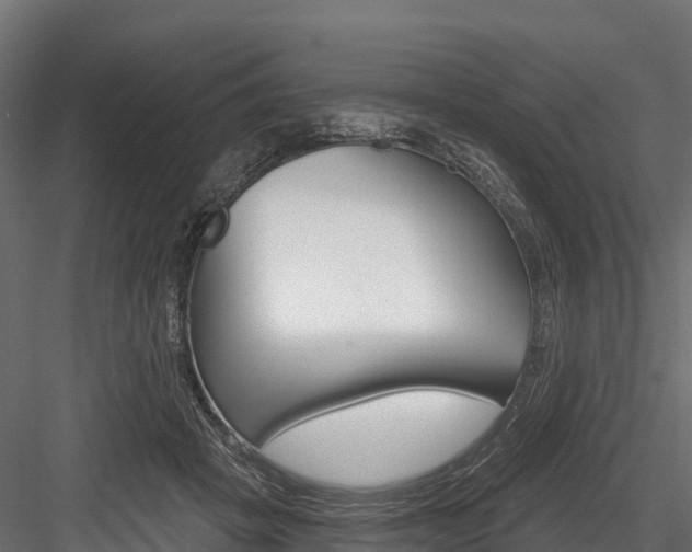 X0000084560457200702231006