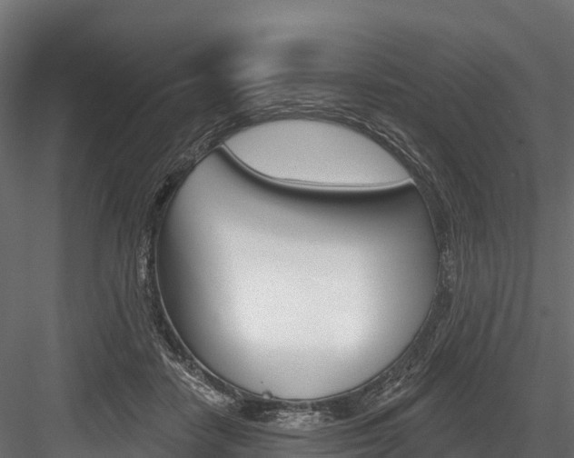 X0000084560458200702231006