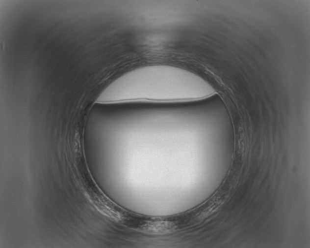 X0000084560459200702231006