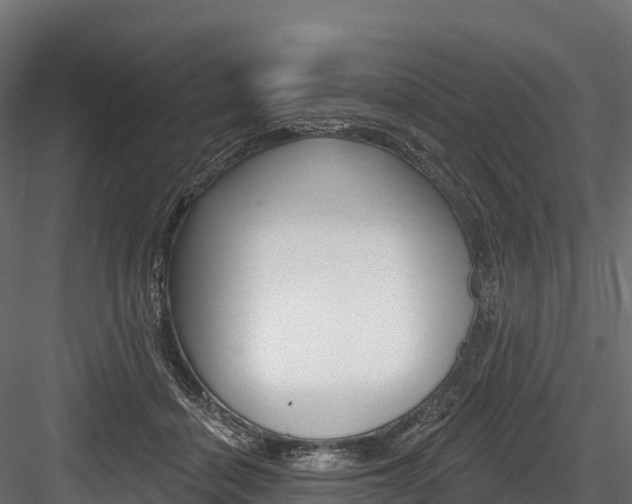 X0000084560460200702231006
