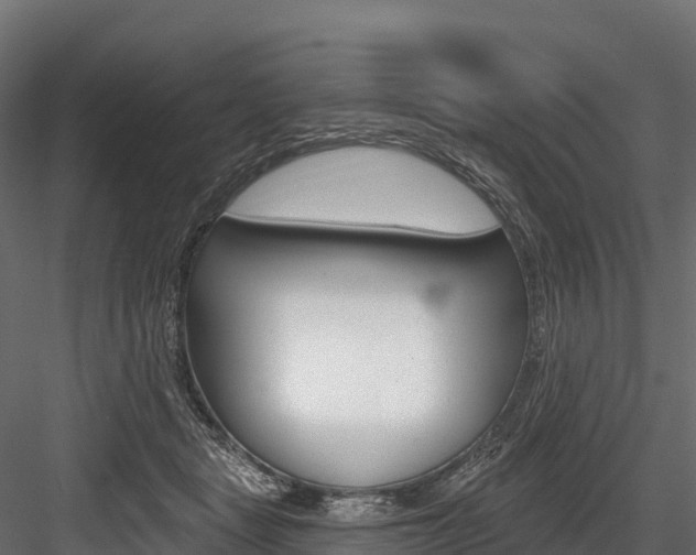 X0000084560461200702231006