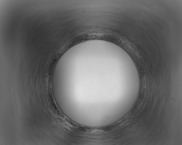 X0000084560463200702231006