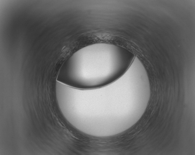 X0000084560464200702231006