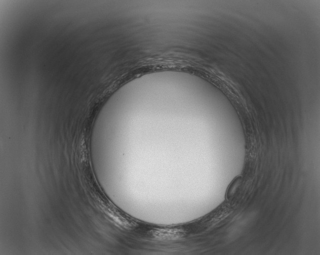 X0000084560465200702231006