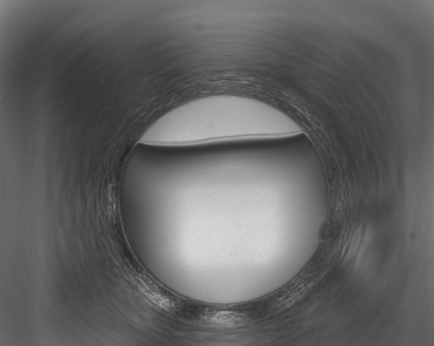 X0000084560467200702231006
