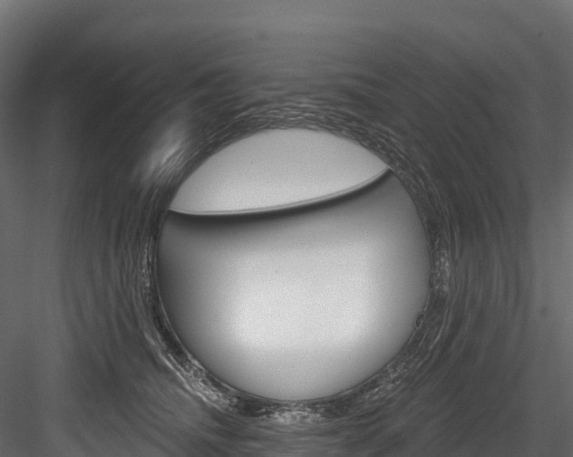 X0000084560468200702231006