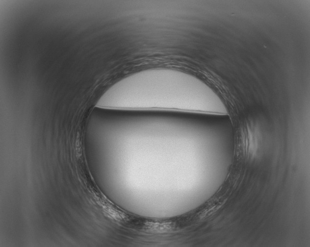 X0000084560469200702231006