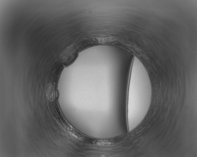 X0000084560471200702231006