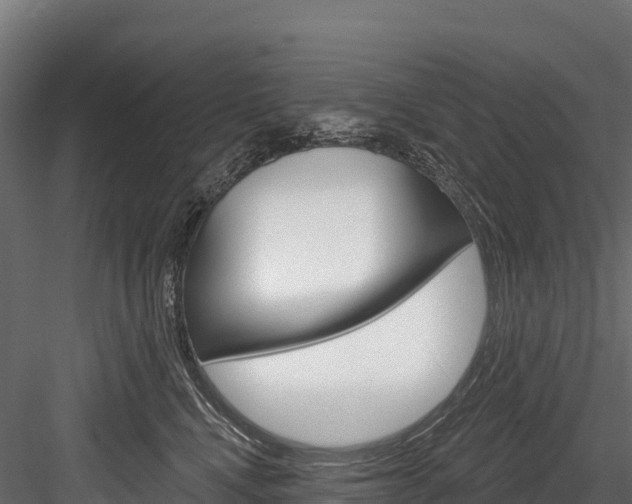 X0000084560472200702231006