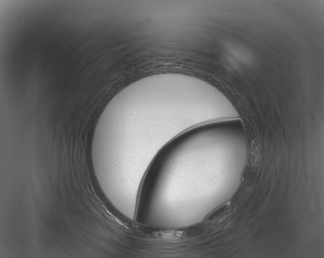 X0000084560474200702231006
