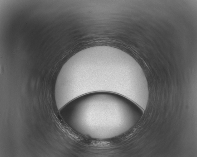 X0000084560476200702231006