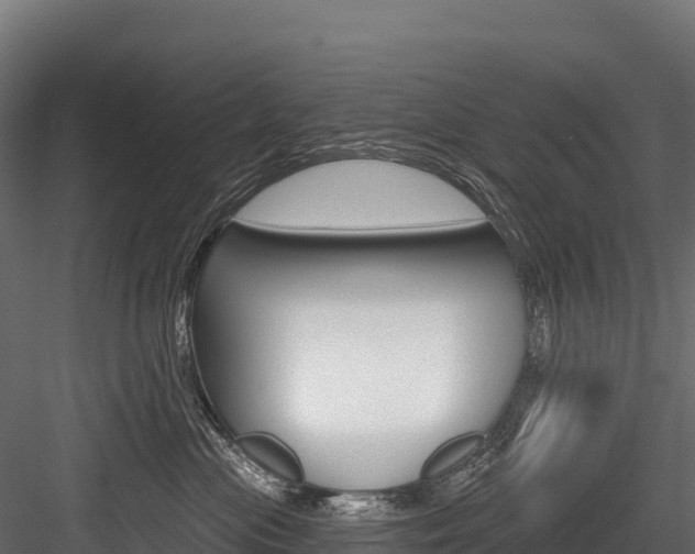 X0000084560477200702231006