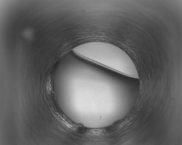X0000084560479200702231006