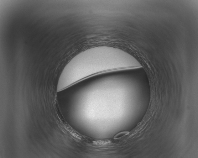 X0000084560480200702231006