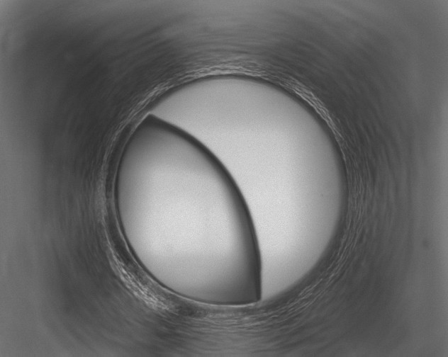 X0000084560482200702231005