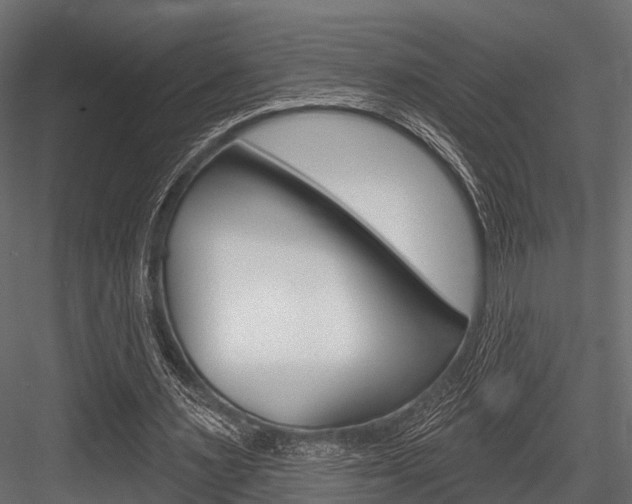 X0000084560483200702231005