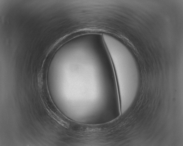X0000084560484200702231005