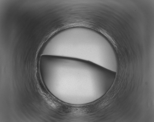 X0000084560486200702231005