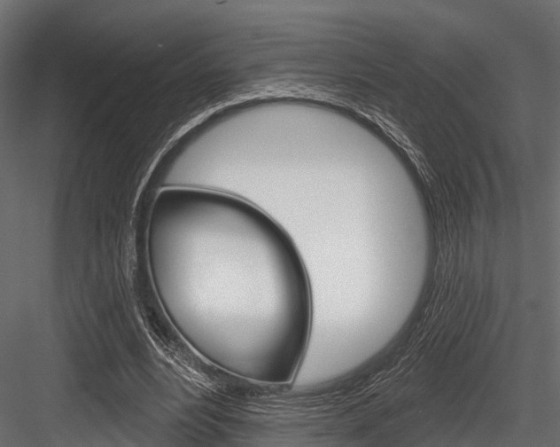 X0000084560488200702231005