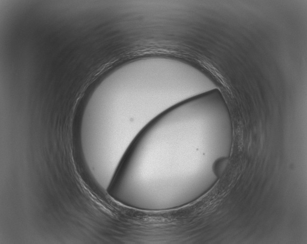 X0000084560490200702231005