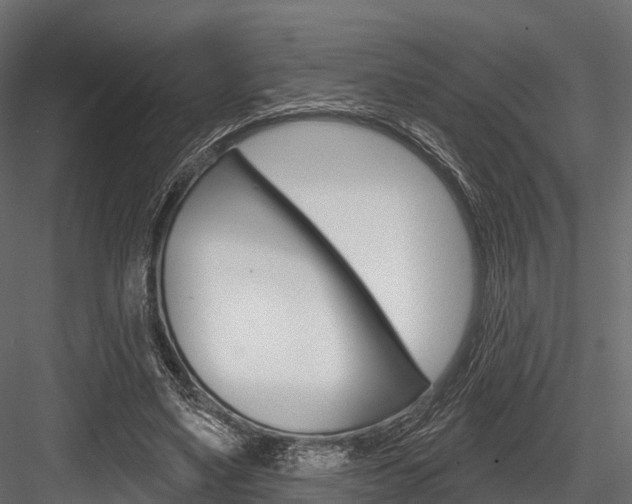 X0000084560491200702231005