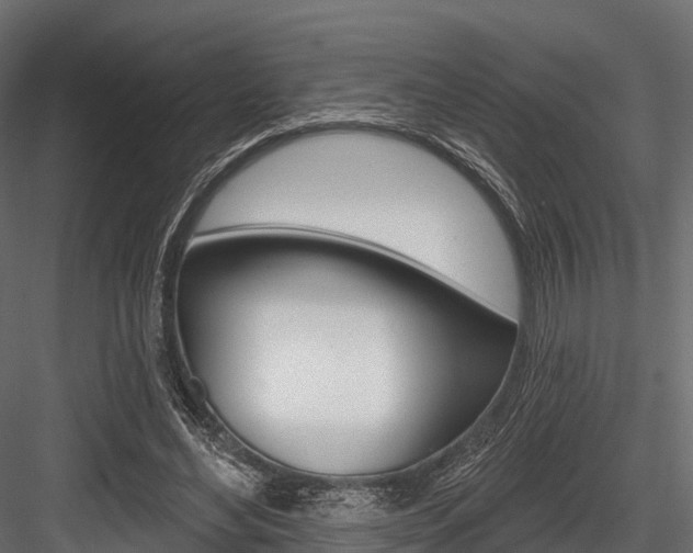 X0000084560492200702231005