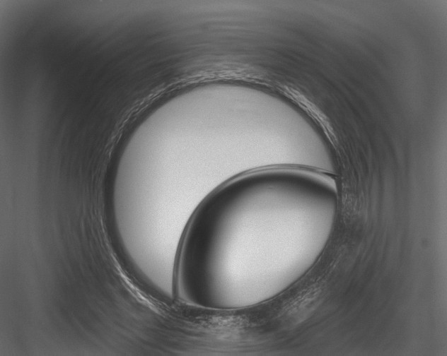 X0000084560493200702231005