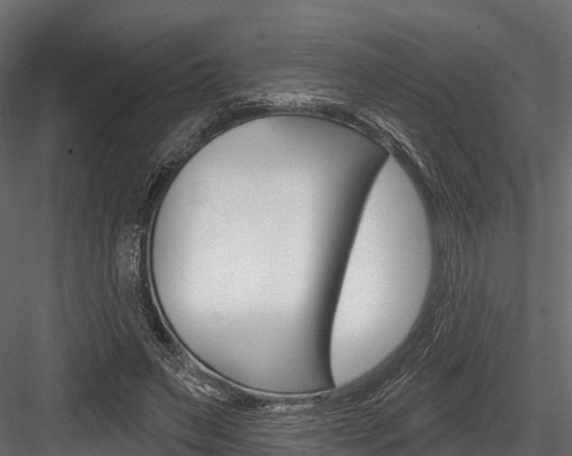 X0000084560495200702231005