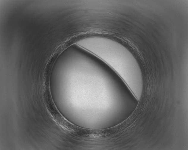 X0000084560496200702231005