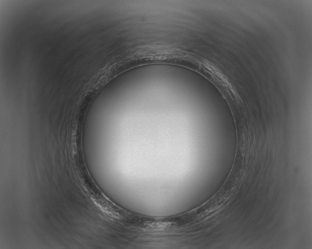 X0000084560497200702231005