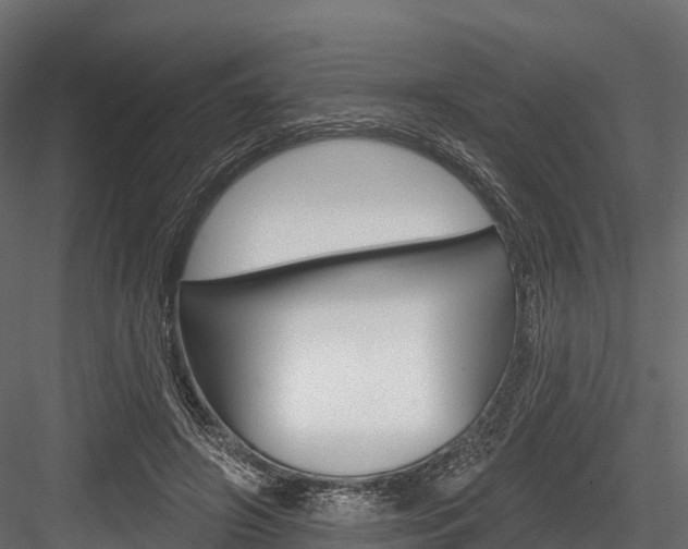 X0000084560498200702231005