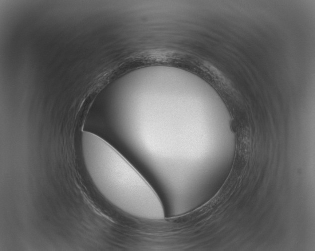 X0000084560500200702231005