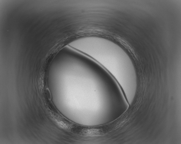 X0000084560501200702231005