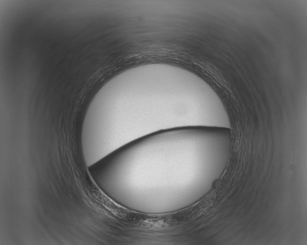 X0000084560502200702231005