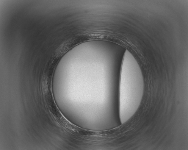 X0000084560504200702231005