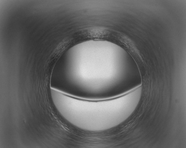 X0000084560505200702231005