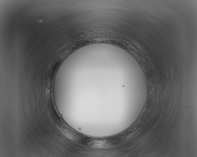 X0000084560507200702231005