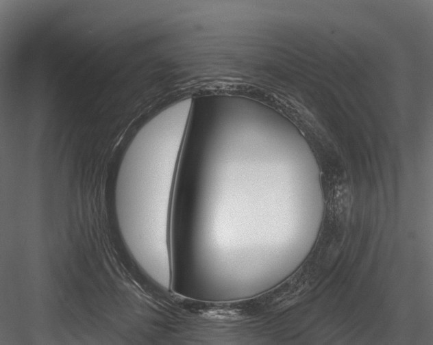X0000084560508200702231005