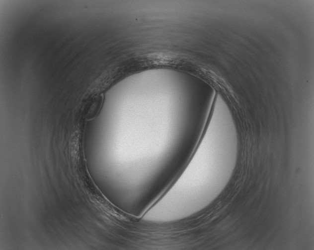 X0000084560509200702231005